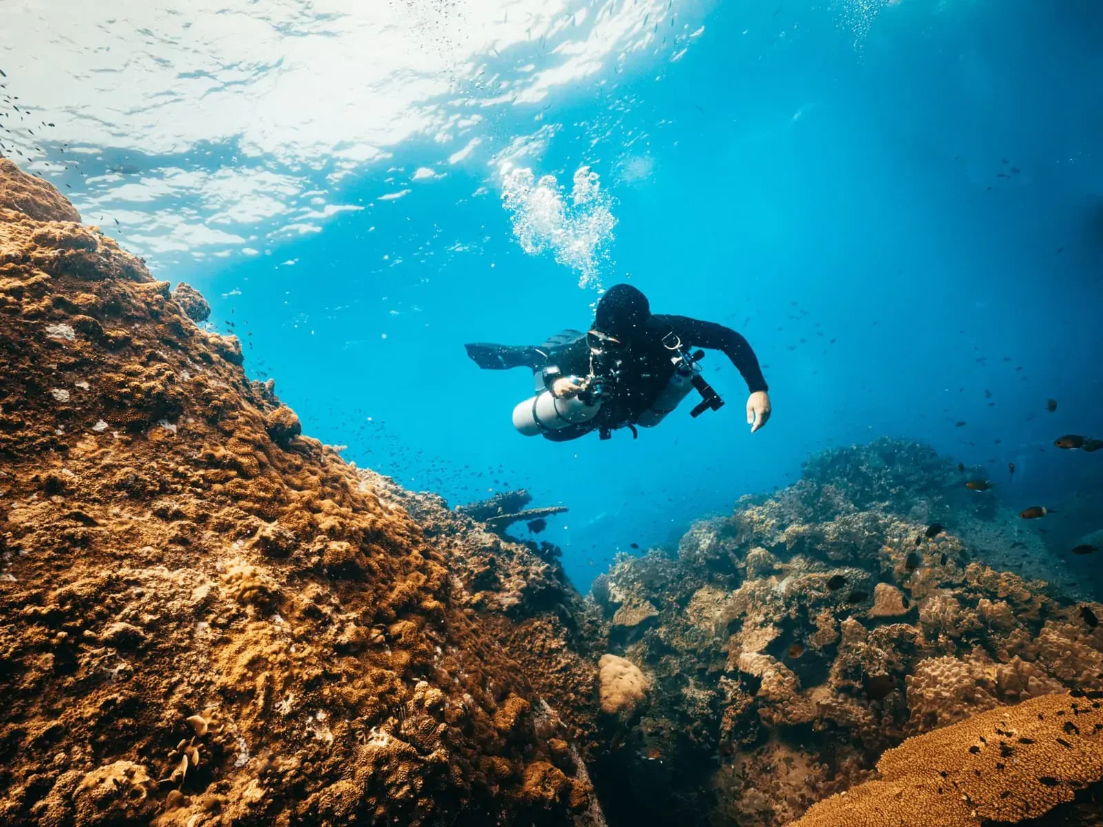 Sidemount course diver koh tao