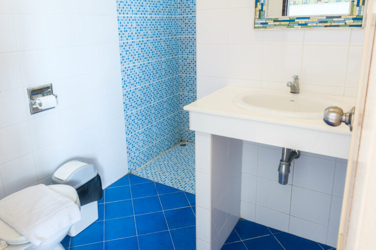 A view into the clean white and blue bathroom.